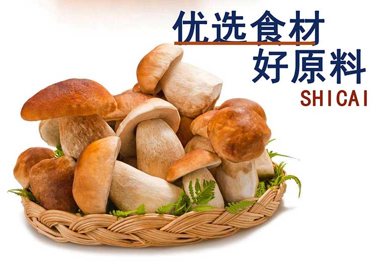 公司提供貼牌定制，免費送技術(shù)的服務，開店無需大廚，簡易操作，快速標準化出餐。產(chǎn)品咨詢熱線：0537-3630366
